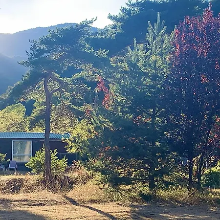 Camping River